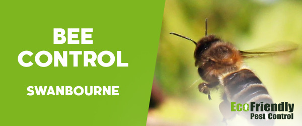 Pest Control Swanbourne