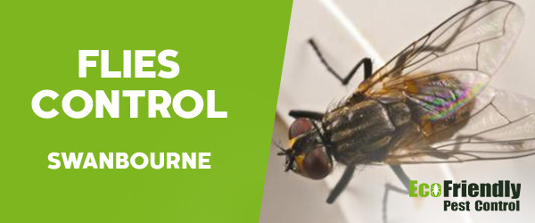 Pest Control Swanbourne