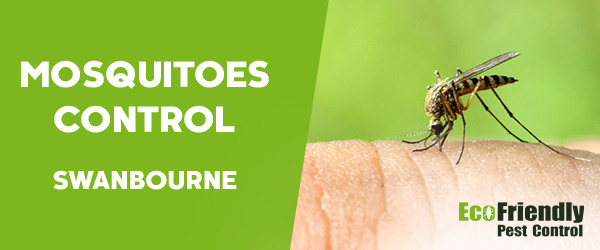 Pest Control Swanbourne