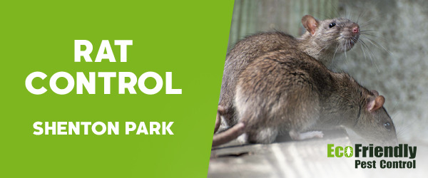 Rat Pest Control Shenton Park