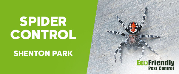 Spider Control Shenton Park