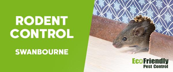 Pest Control Swanbourne