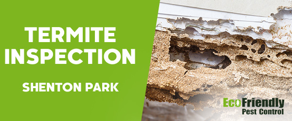 Termite Inspection Shenton Park