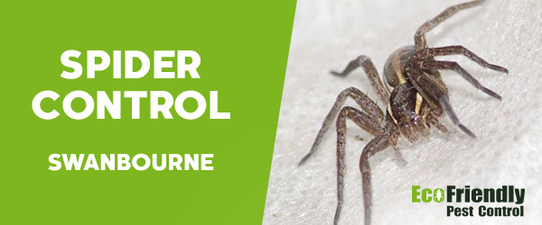 Pest Control Swanbourne