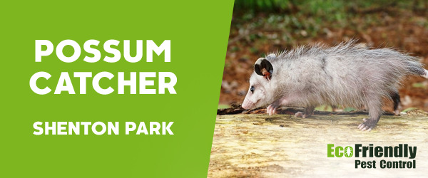 Possum Catcher Shenton Park