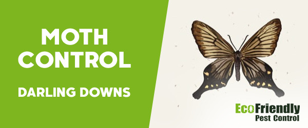 Moth Control Darling Downs 