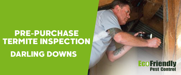 Pre-purchase Termite Inspection Darling Downs 