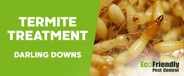 Termite Control Darling Downs 