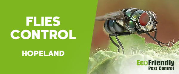 Flies Control  Hopeland 