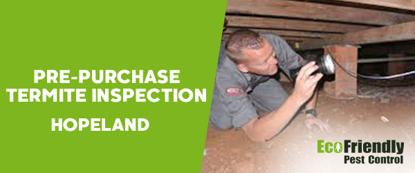 Pre-purchase Termite Inspection  Hopeland 