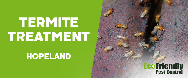 Termite Control  Hopeland 