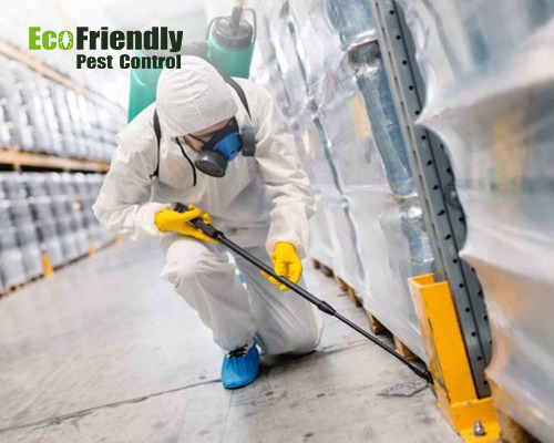 Pest Control South Perth