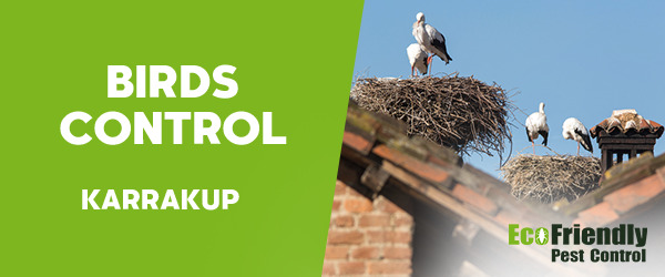 Birds Control  Karrakup 