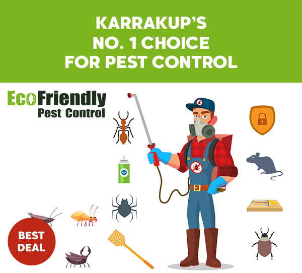 Pest Control Service