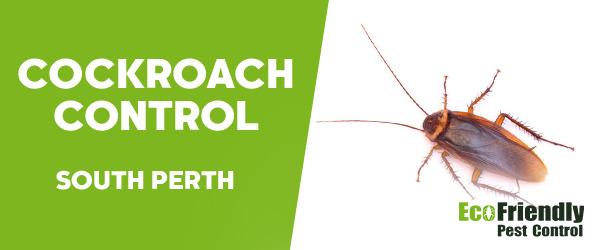 Pest Control South Perth