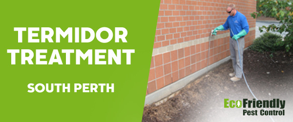 Pest Control South Perth