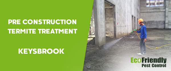 Pre Construction Termite Treatment Keysbrook 