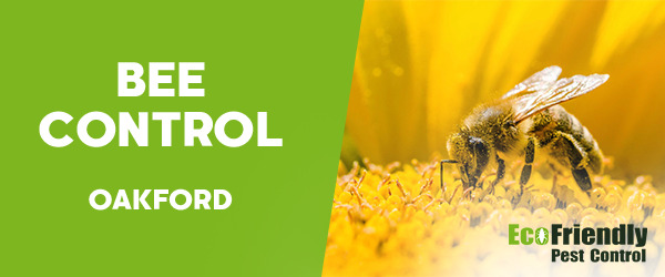 Bee Control Oakford 