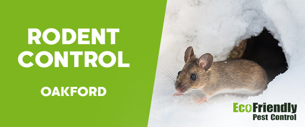 Rodent Treatment Oakford 