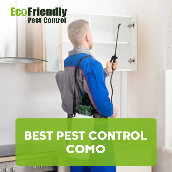 Best Pest Control Como