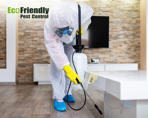 Pest Control Como