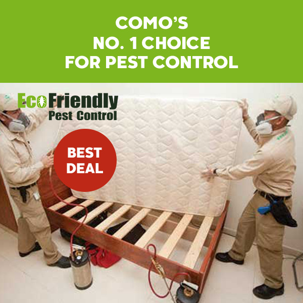 Pest Control Como