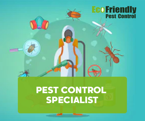 Pest Control Specialist