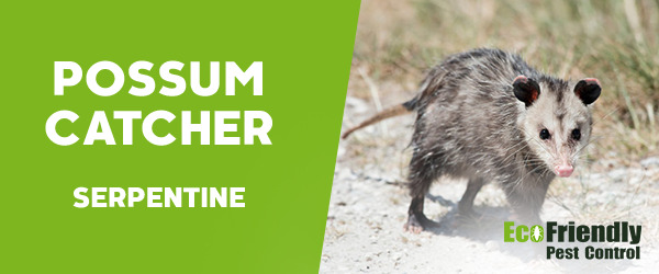 Possum Catcher Serpentine 