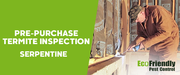 Pre-purchase Termite Inspection Serpentine 