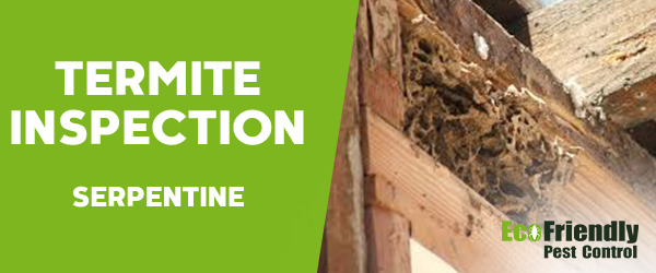 Termite Inspection Serpentine 