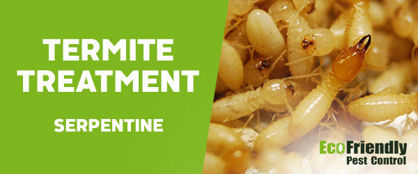 Termite Control Serpentine 