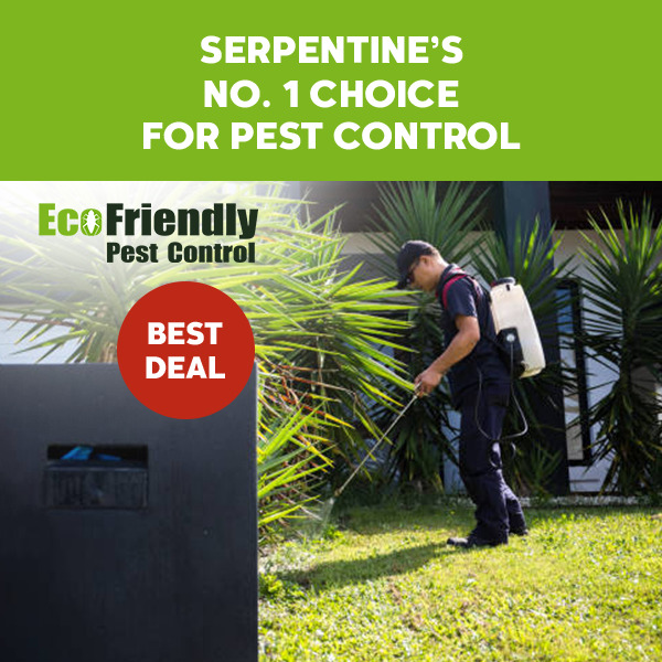 Pest Control Serpentine 