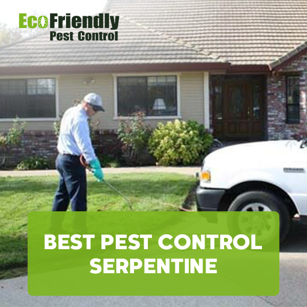 Best Pest Control Serpentine 