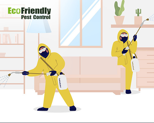 Pest Control Whitby 