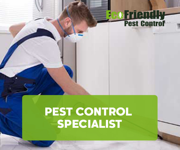 Pest Control Specialist