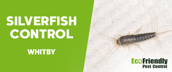 Silverfish Control Whitby 