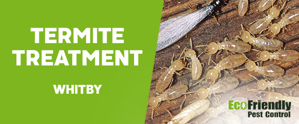 Termite Control Whitby 