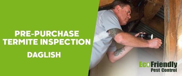 Pre-purchase Termite Inspection Daglish 