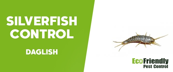 Silverfish Control Daglish 