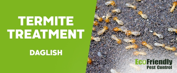 Termite Control Daglish 