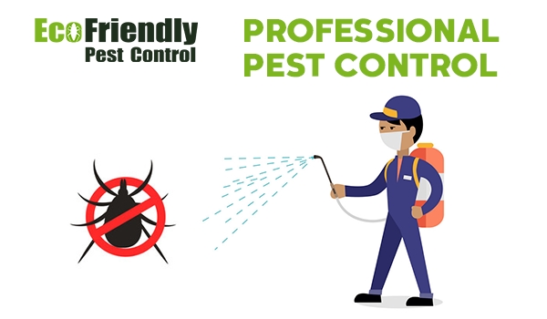 Pest Control Service