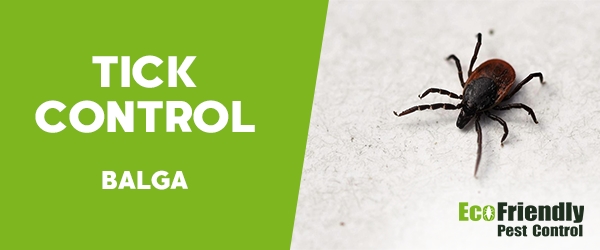 Ticks Control  Balga 