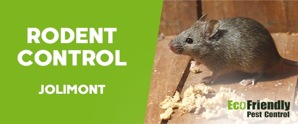 Rodent Treatment Jolimont 