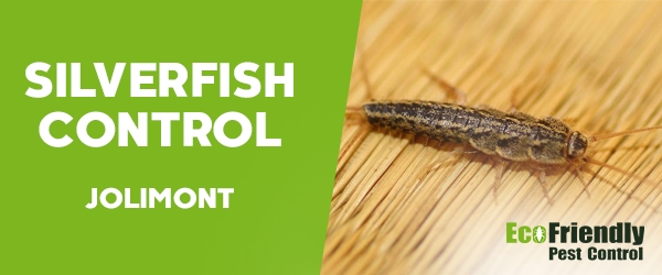 Silverfish Control Jolimont 