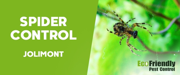 Spider Control Jolimont 