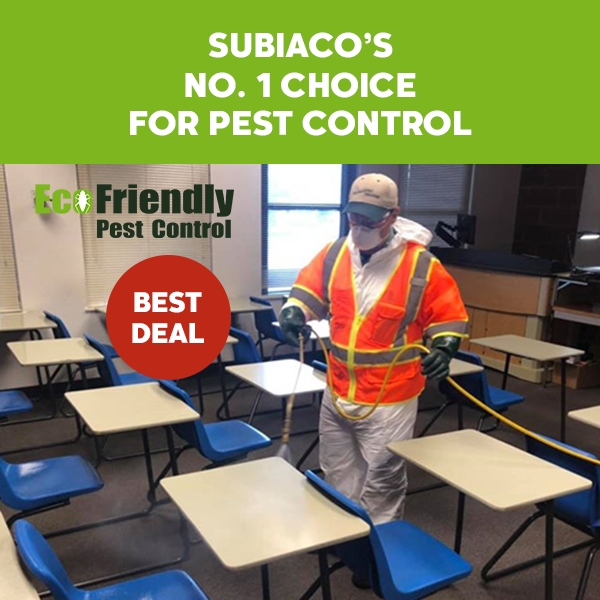 Pest Control Subiaco