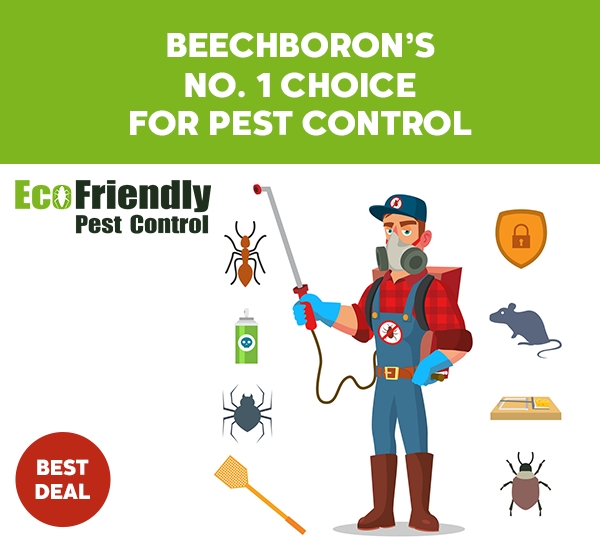 Pest Control Beechboro 
