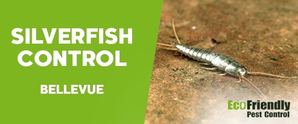 Silverfish Control Bellevue 