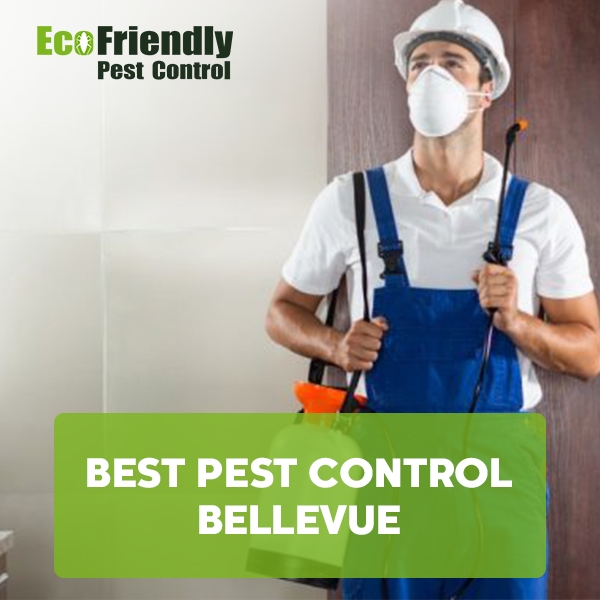 Best Pest Control Bellevue 