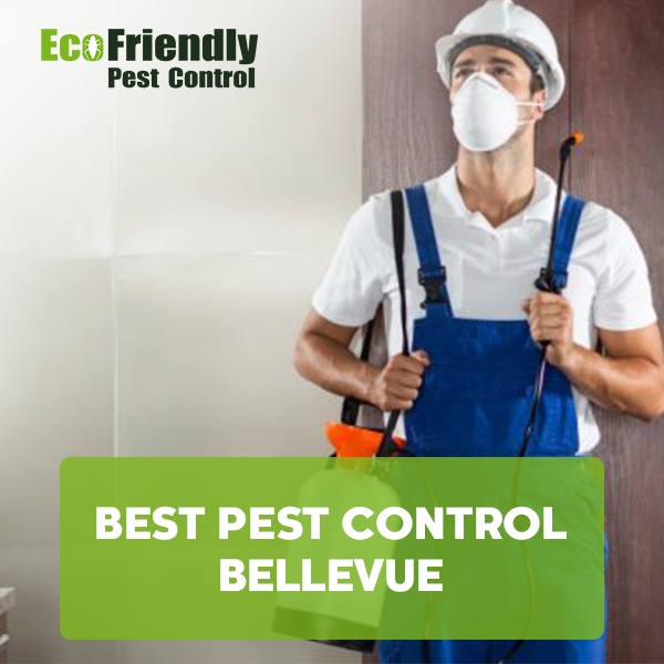 Best Pest Control Bellevue 